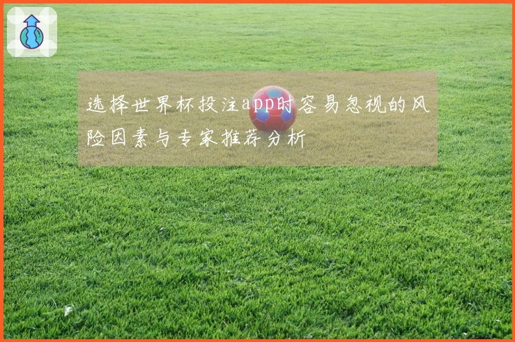 选择世界杯投注app时容易忽视的风险因素与专家推荐分析
