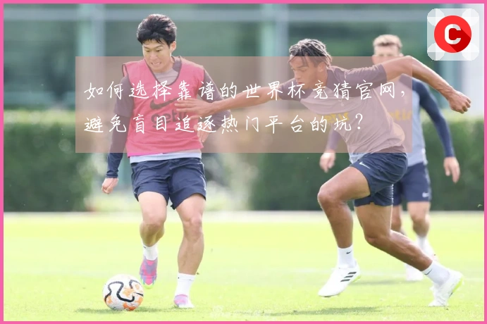 如何选择靠谱的世界杯竞猜官网，避免盲目追逐热门平台的坑？