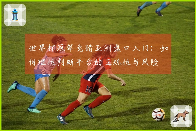 世界杯冠军竞猜亚洲盘口入门：如何理性判断平台的正规性与风险