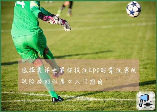 选择靠谱世界杯投注app时需注意的风险控制和盘口入门指南