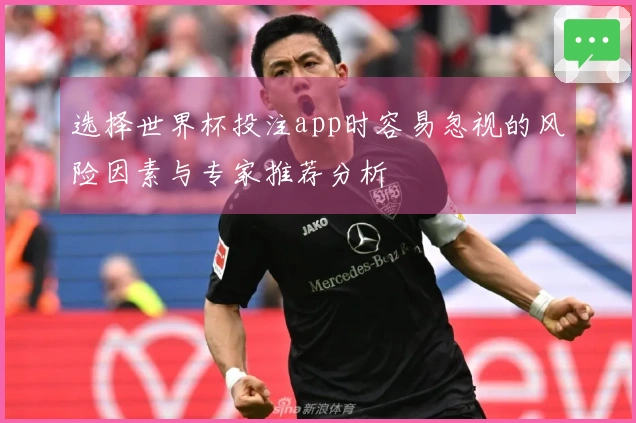 选择世界杯投注app时容易忽视的风险因素与专家推荐分析