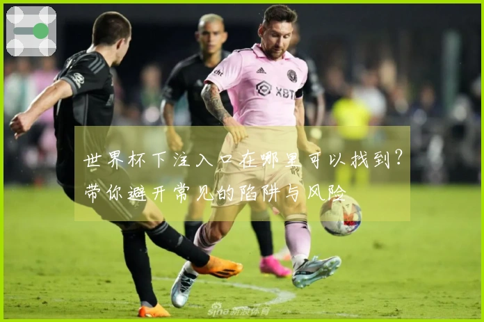 世界杯下注入口在哪里可以找到？带你避开常见的陷阱与风险