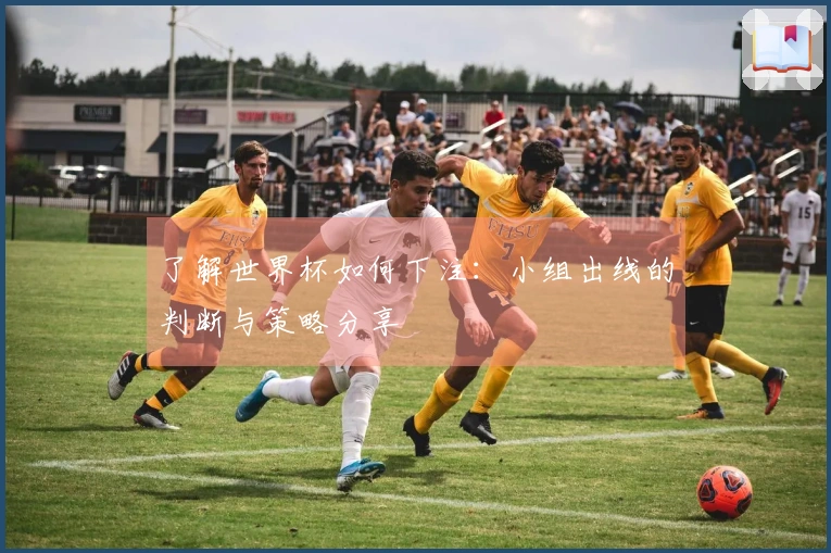 了解世界杯如何下注：小组出线的判断与策略分享