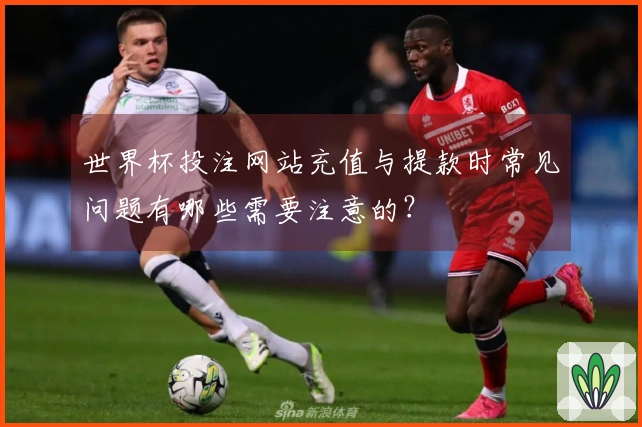 世界杯投注网站充值与提款时常见问题有哪些需要注意的？